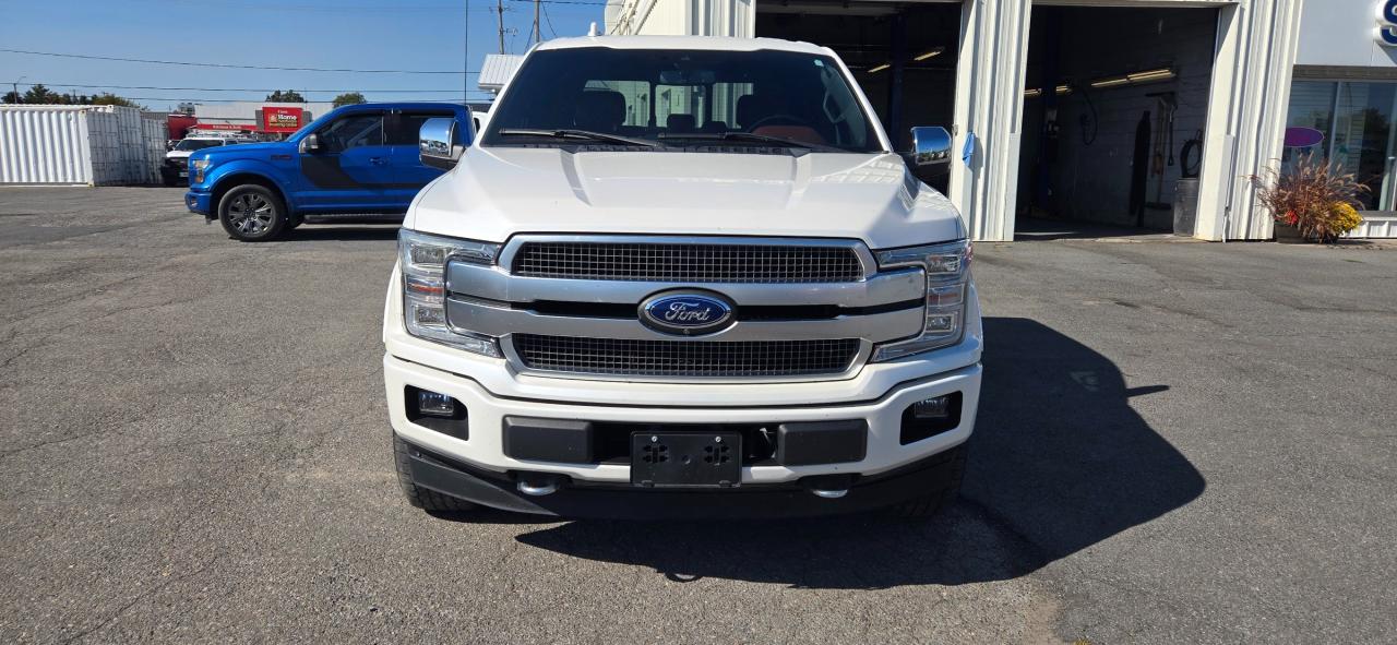 2019 Ford F-150 Platinum Photo