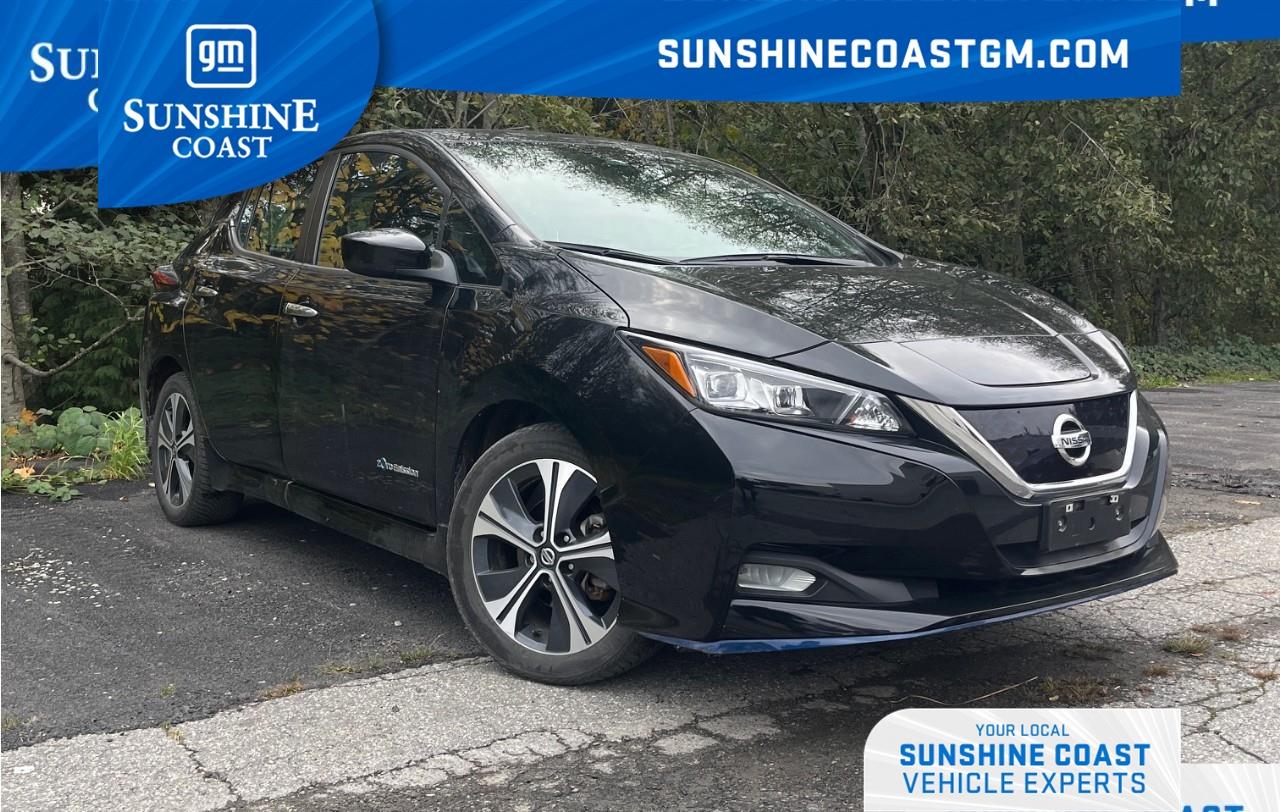 Used 2019 Nissan Leaf SV PLUS for sale in Sechelt, BC