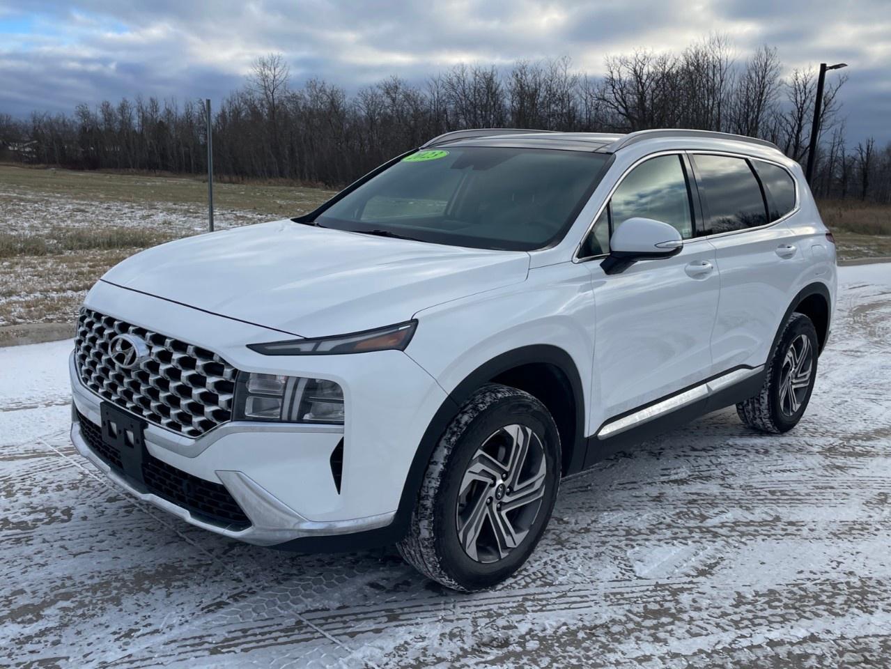 Used 2023 Hyundai Santa Fe Preferred AWD w/Trend Package for sale in Selkirk, MB