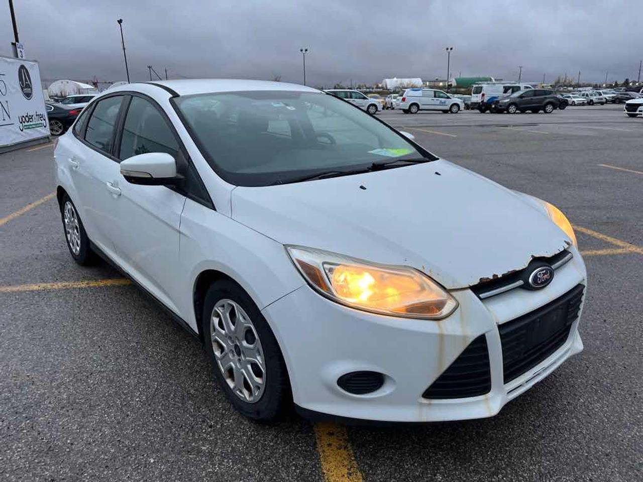2014 Ford Focus SE Photo