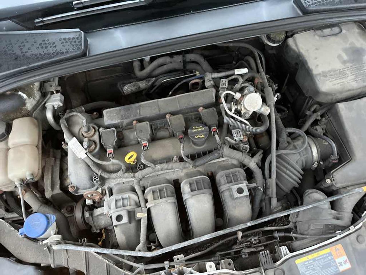 2014 Ford Focus SE Photo