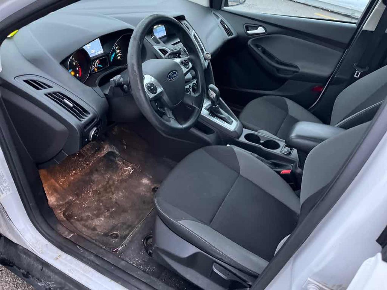 2014 Ford Focus SE Photo