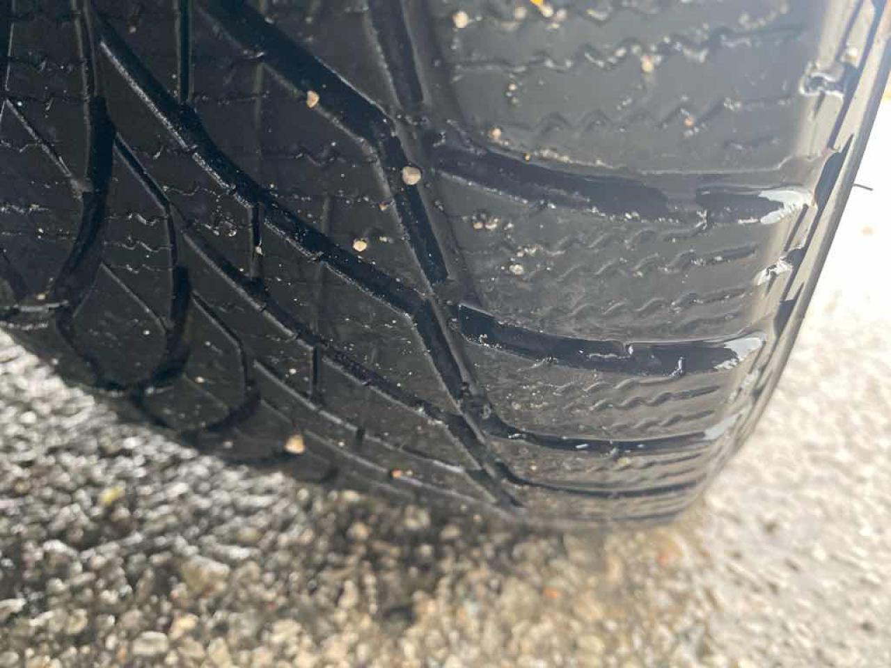 2012 Ford Focus SE Photo