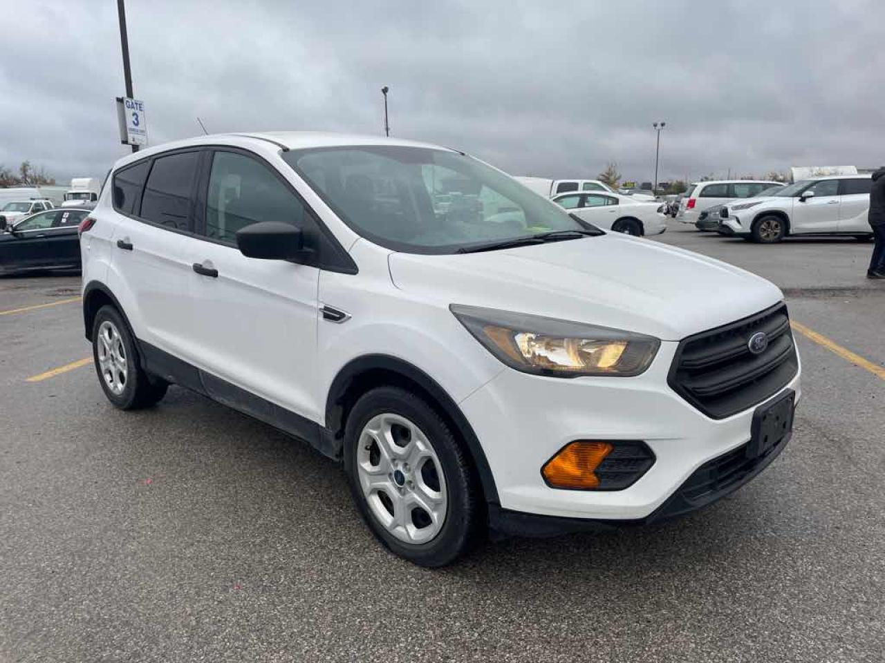 2019 Ford Escape S Photo