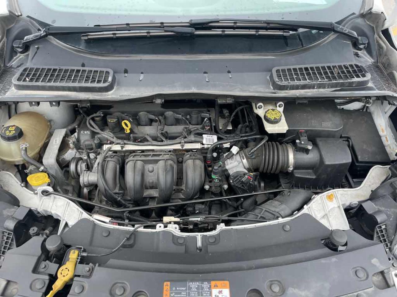 2019 Ford Escape S Photo