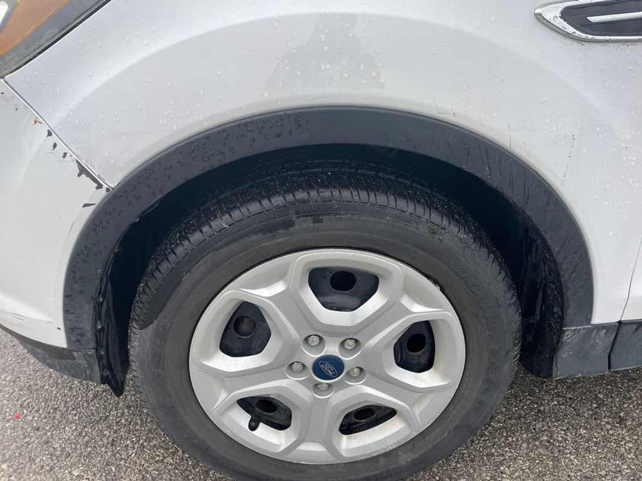 2019 Ford Escape S Photo