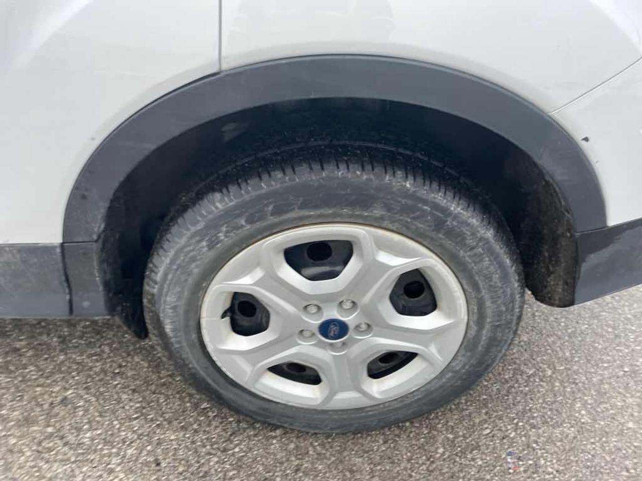 2019 Ford Escape S Photo