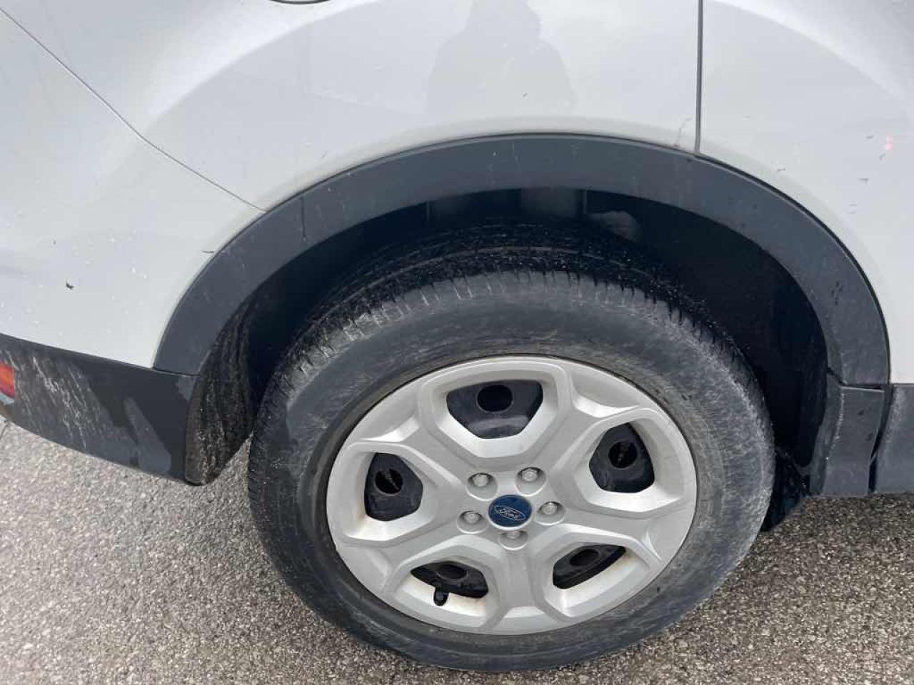 2019 Ford Escape S Photo