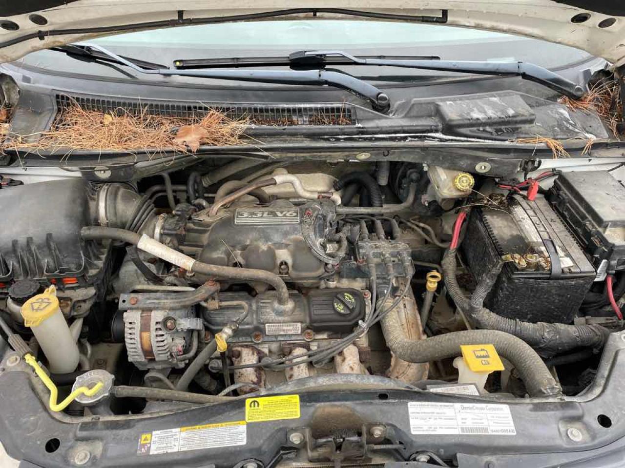 2008 Dodge Grand Caravan SE - Photo #7