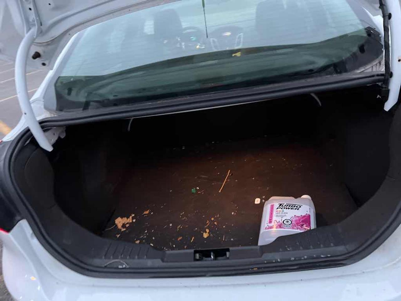 2012 Ford Focus SE Photo