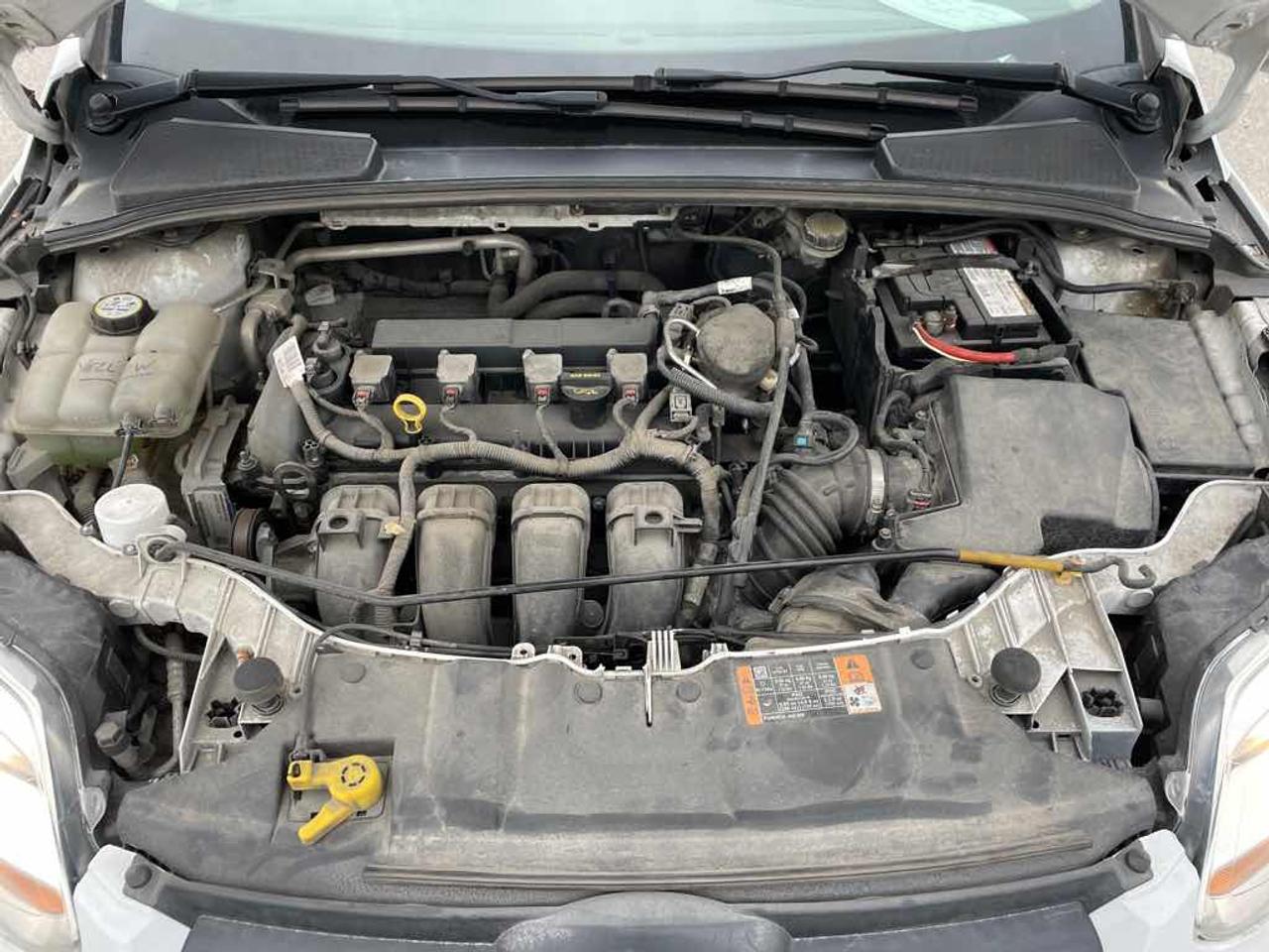 2014 Ford Focus SE Photo