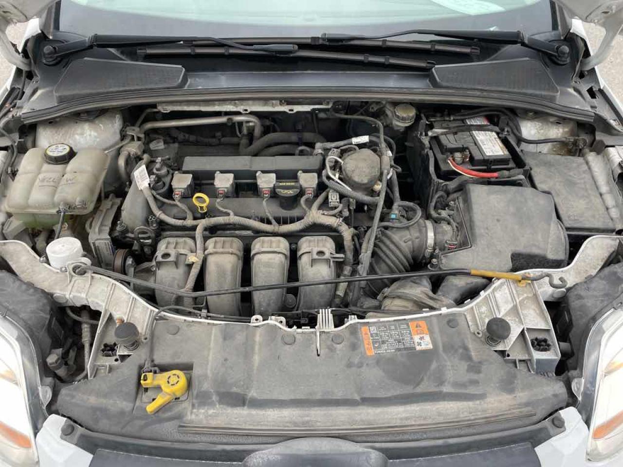 2014 Ford Focus SE - Photo #7