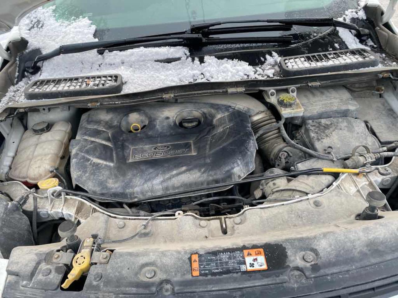 2015 Ford Escape SE Photo