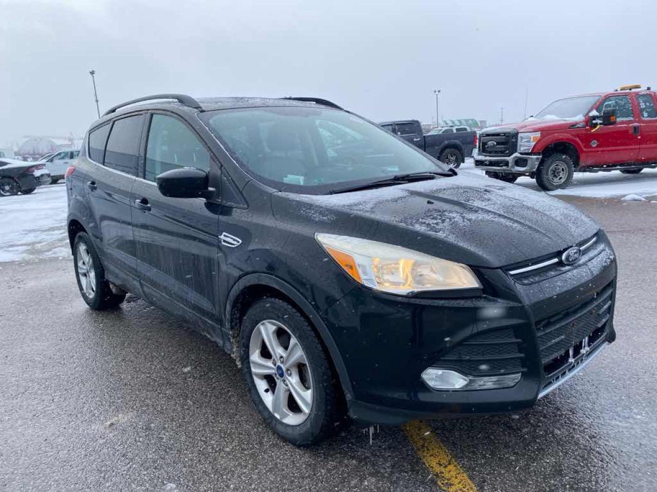 2014 Ford Escape SE Photo