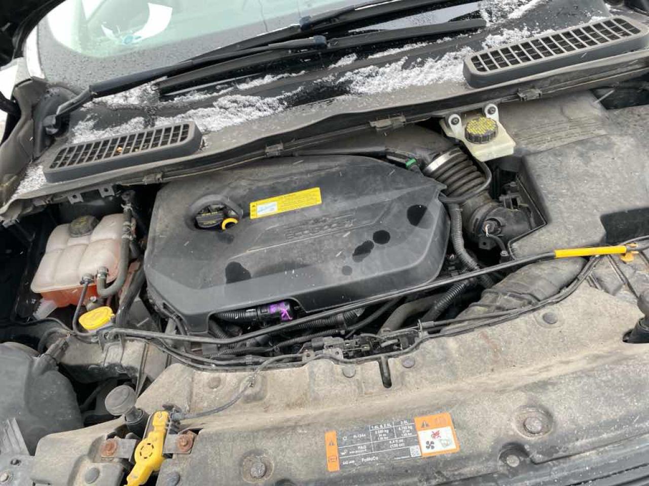 2014 Ford Escape SE Photo