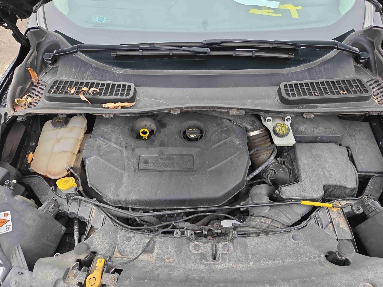 2016 Ford Escape Titanium - Photo #7