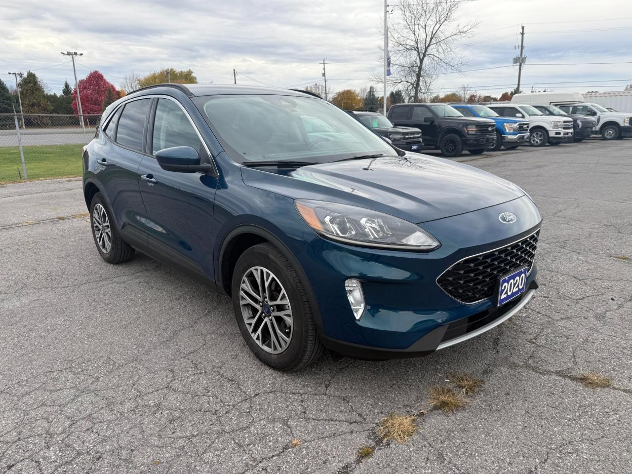 2020 Ford Escape SEL Photo2