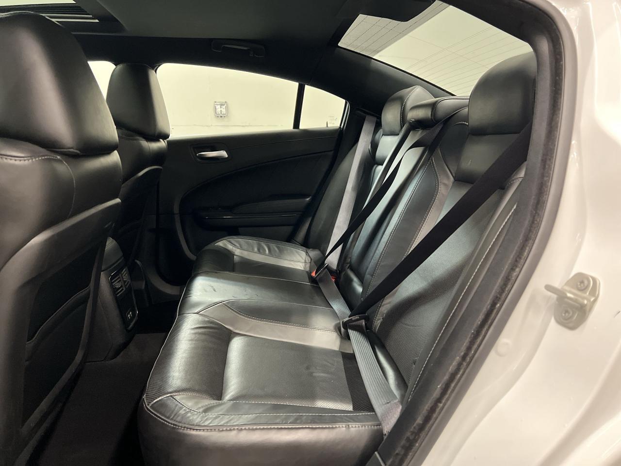 2023 Dodge Charger SXT PLUS AWD| 300HP | NAPPA LEATHER |SUNROOF | NAV Photo