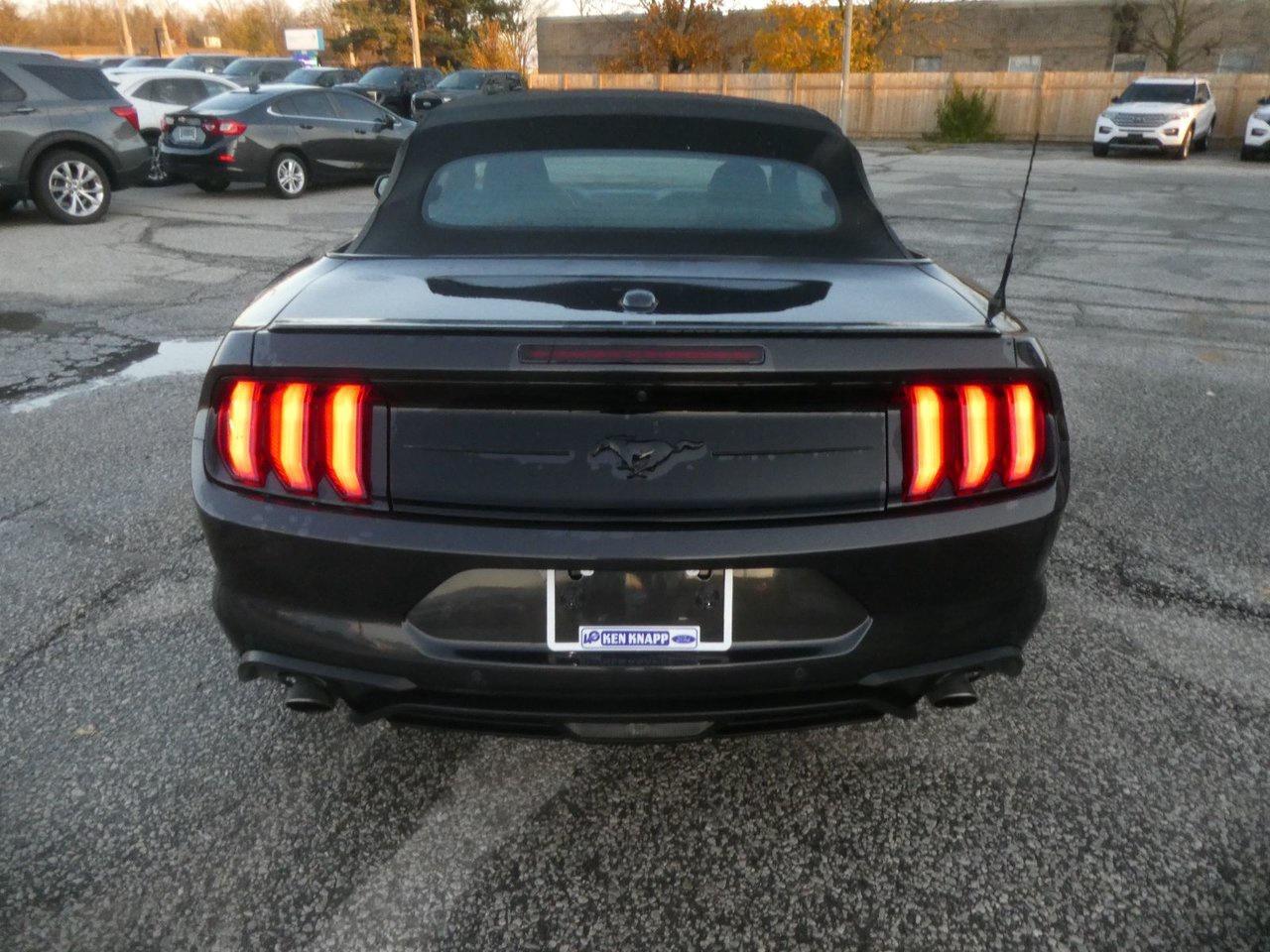 2023 Ford Mustang  Photo3