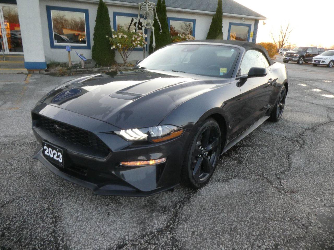 Used 2023 Ford Mustang  for sale in Essex, ON