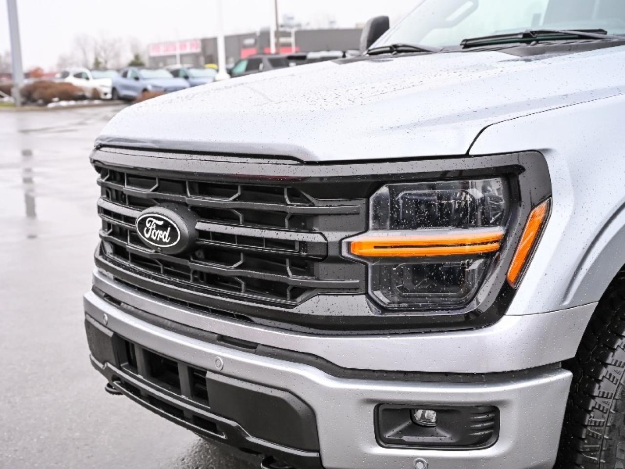 2025 Ford F-150 XLT Photo