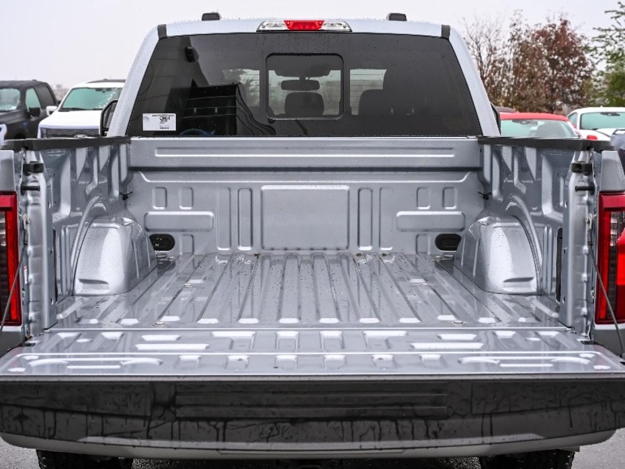 2025 Ford F-150 XLT Photo