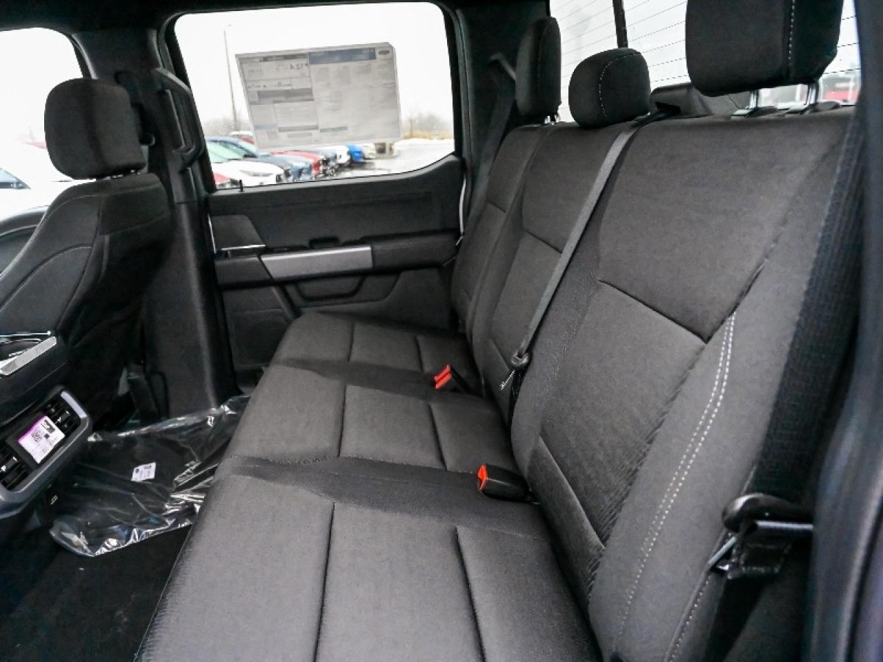 2025 Ford F-150 XLT Photo