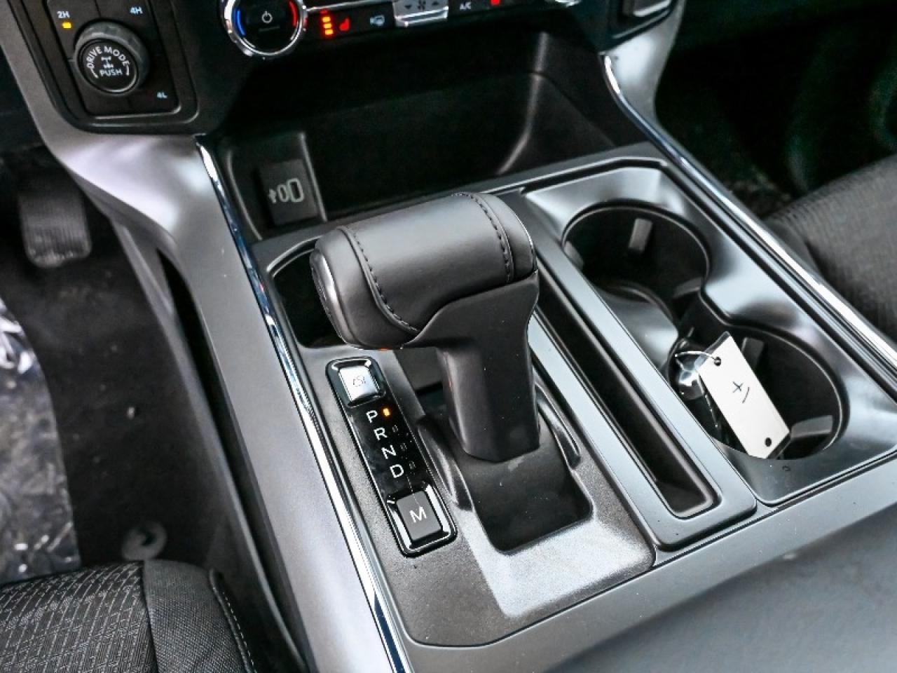 2025 Ford F-150 XLT Photo