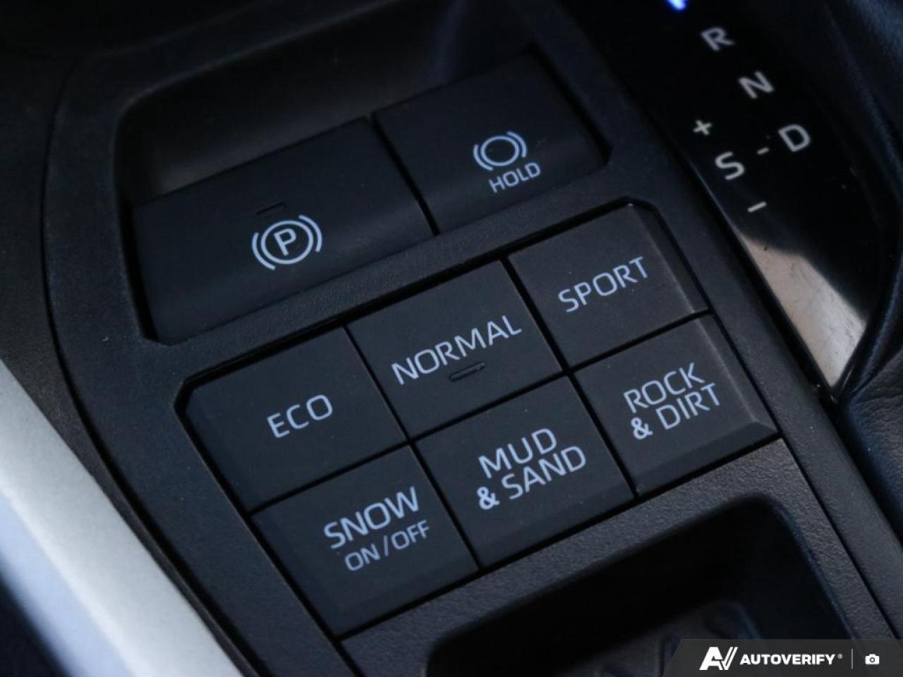 2021 Toyota RAV4 XLE Photo