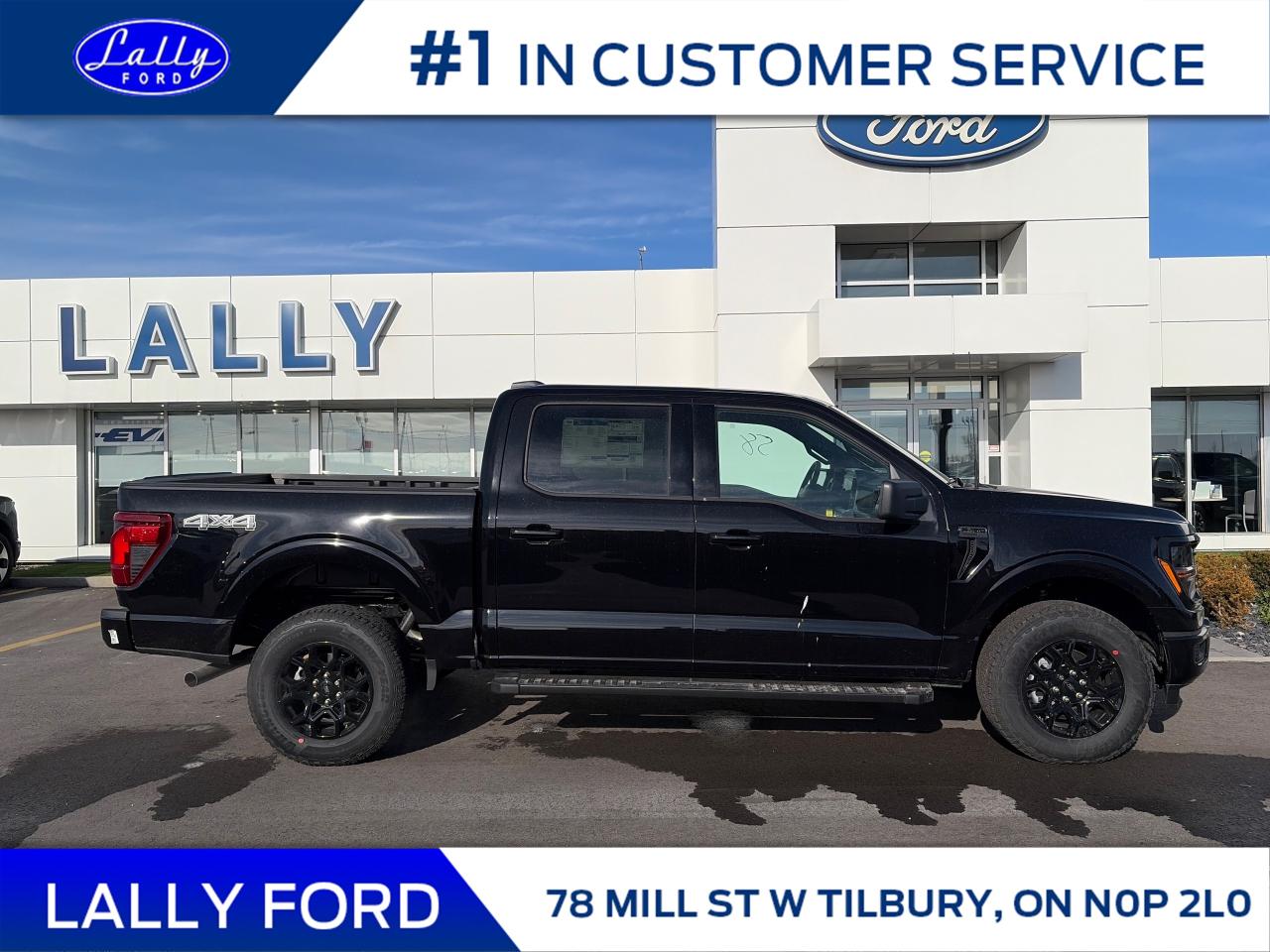 2025 Ford F-150 XLT Photo