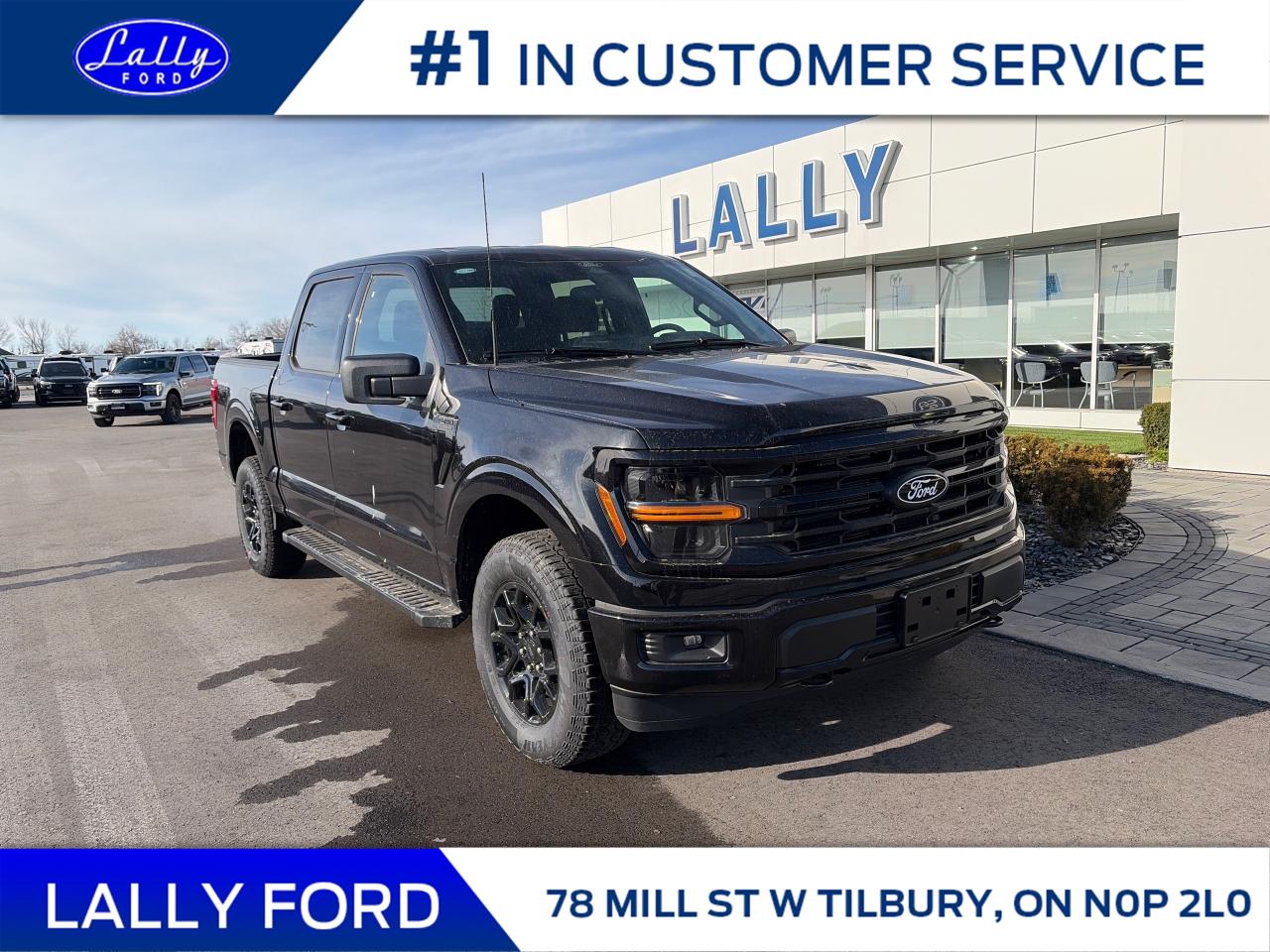 New 2025 Ford F-150 XLT for sale in Tilbury, ON