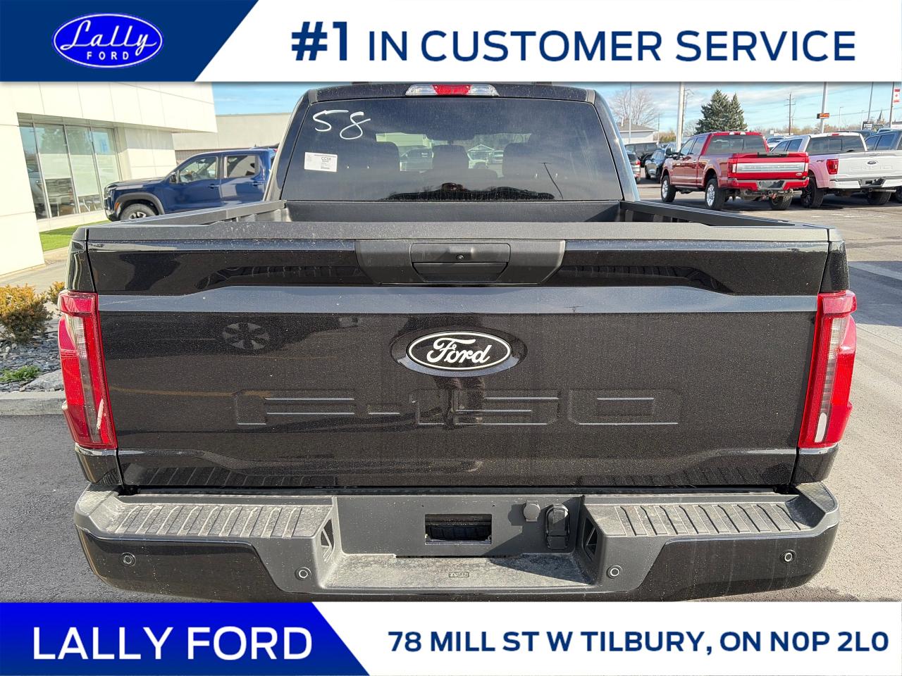 2025 Ford F-150 XLT Photo3