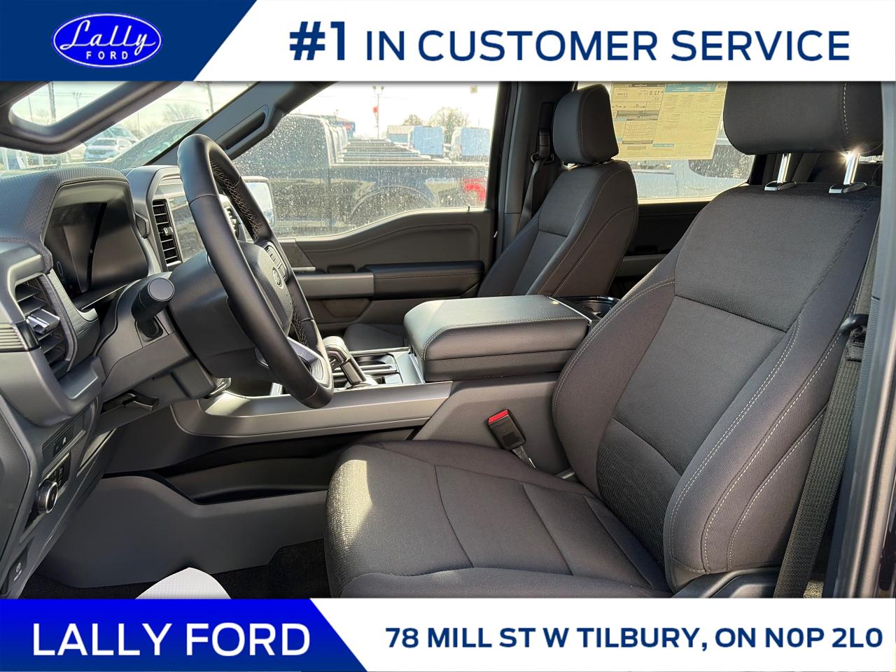 2025 Ford F-150 XLT Photo