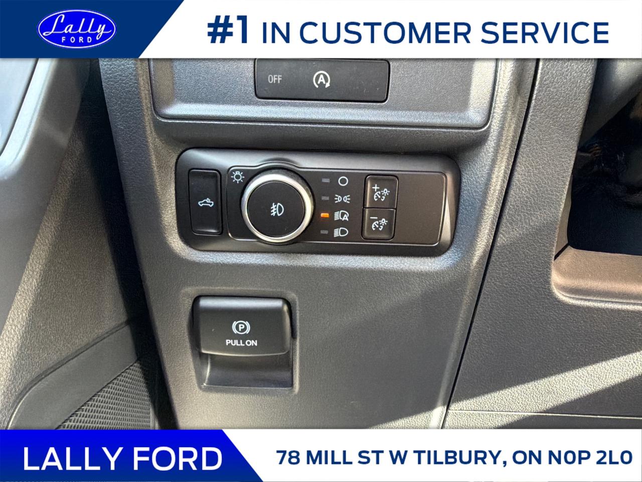 2025 Ford F-150 XLT Photo