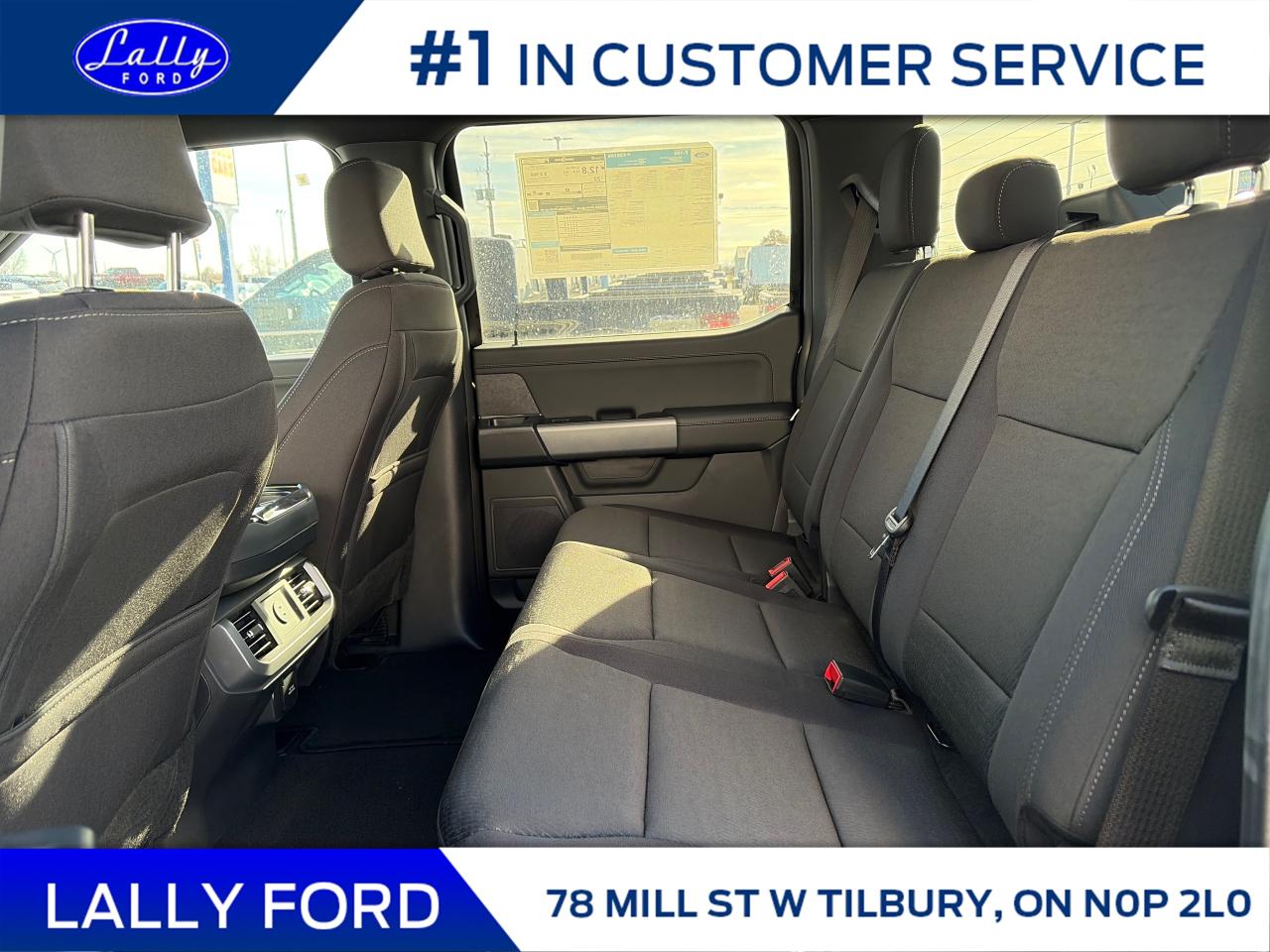 2025 Ford F-150 XLT Photo