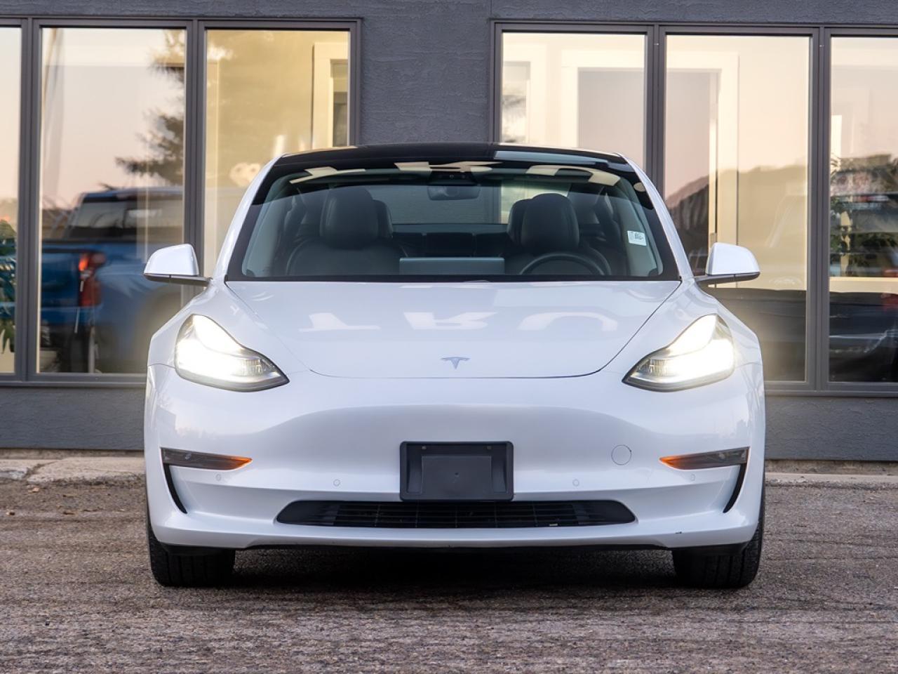 2021 Tesla Model 3 Standard Range Plus RWD Photo2