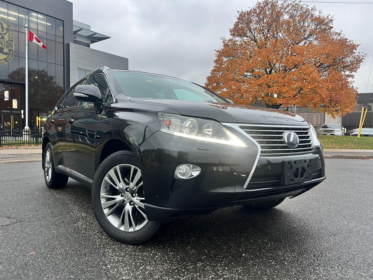 2014 Lexus RX 450h  - Photo #8