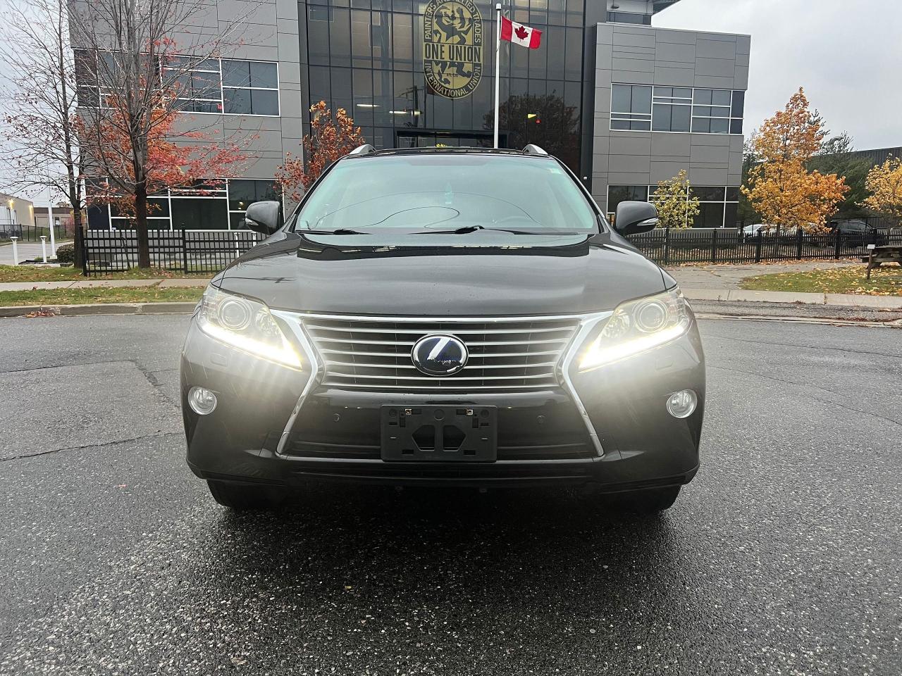 2014 Lexus RX 450h  - Photo #9