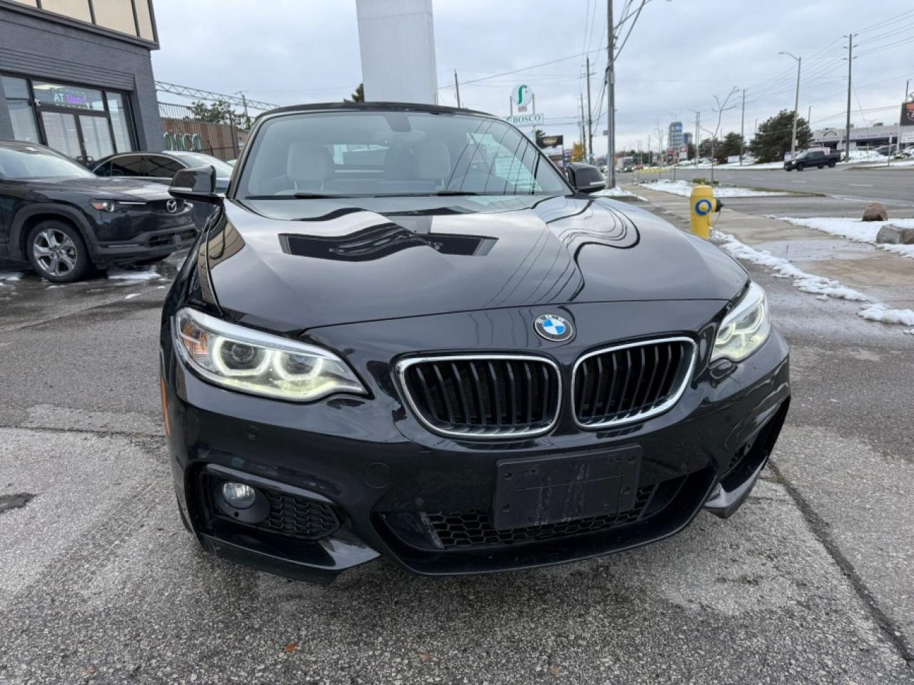 2017 BMW 2 Series 230I XDRIVE/ M SPORT/ CONVERTIBLE/ AWD/ NAVIGATION - Photo #7