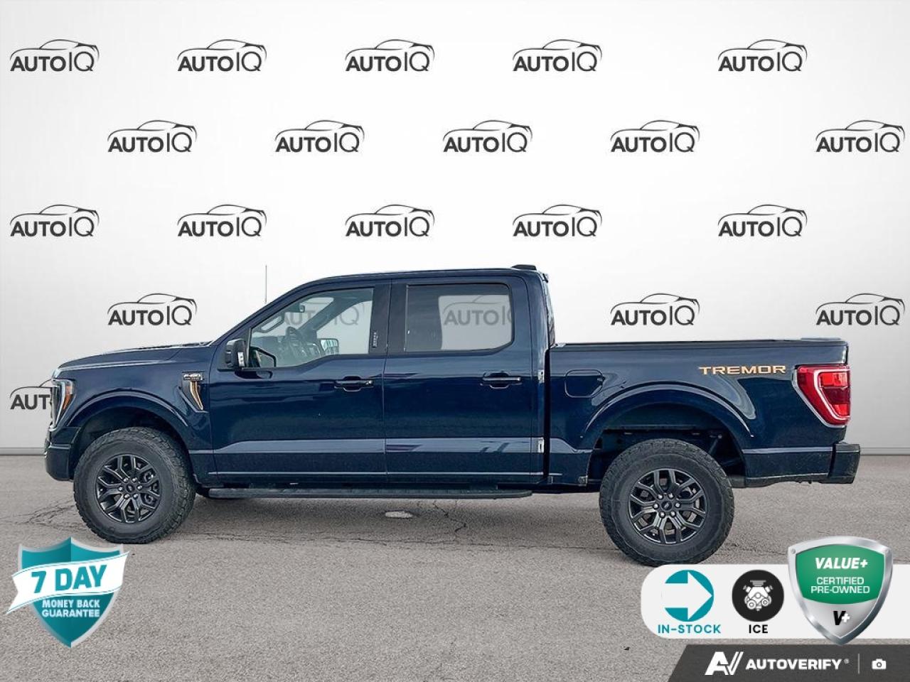 2023 Ford F-150 Tremor PANORAMIC SUNROOF | LANE KEEP ASSIST B&O SOUND SYS Photo2