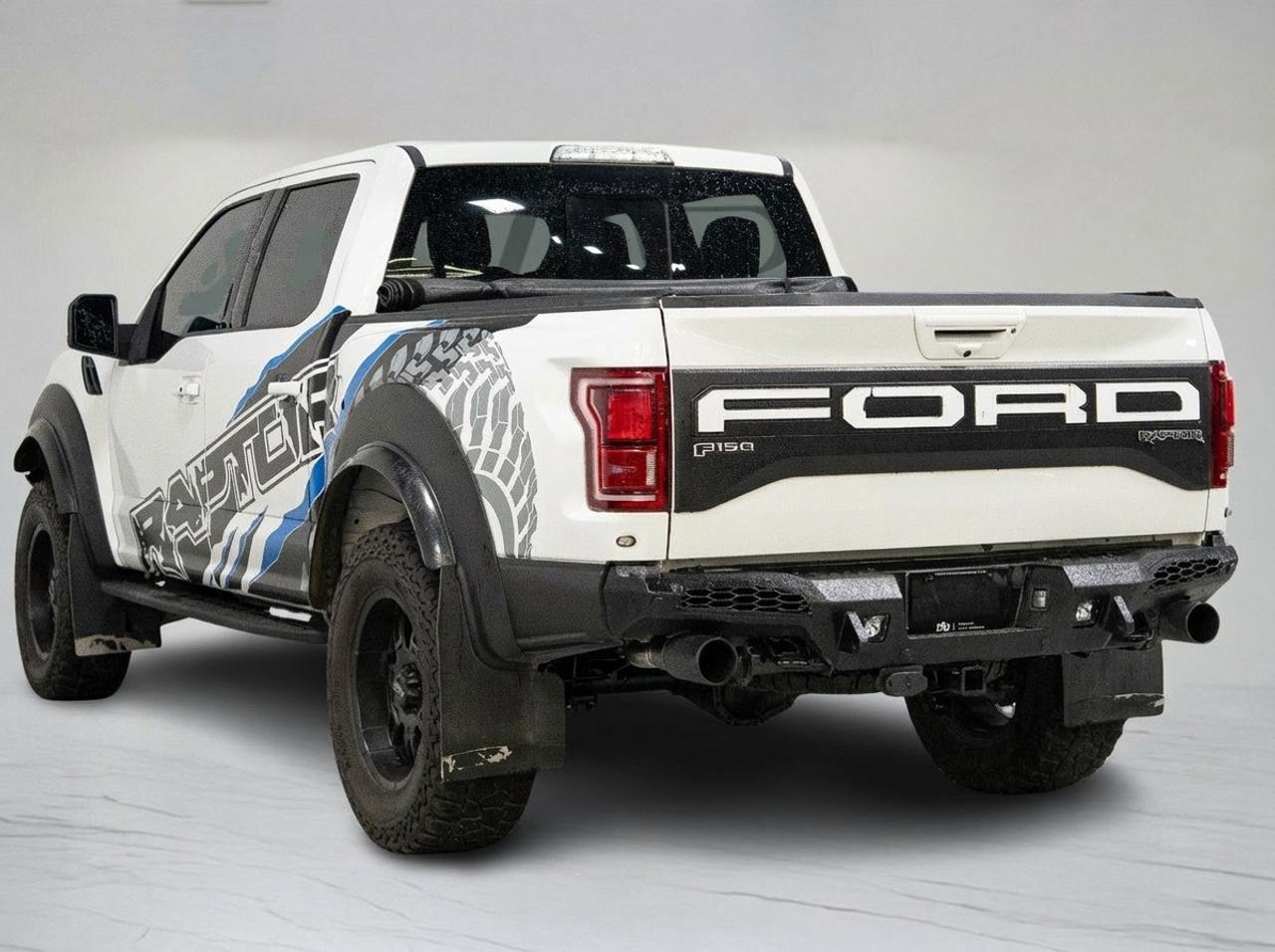 2019 Ford F-150 RAPTOR | SUPERCREW | TECHNOLOGY PKG | 802A PKG Photo