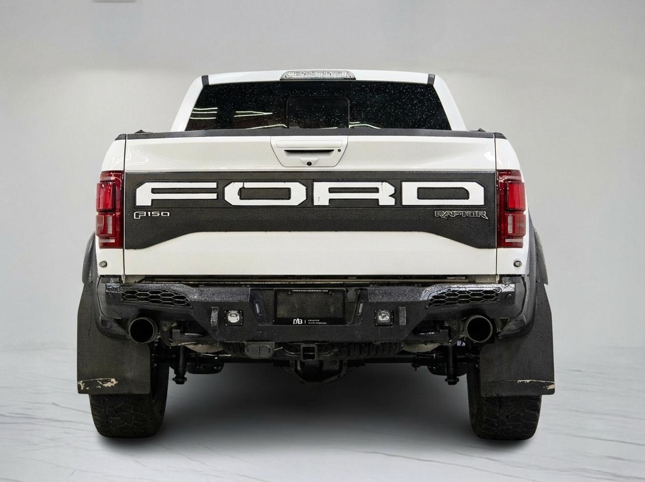 2019 Ford F-150 RAPTOR | SUPERCREW | TECHNOLOGY PKG | 802A PKG Photo