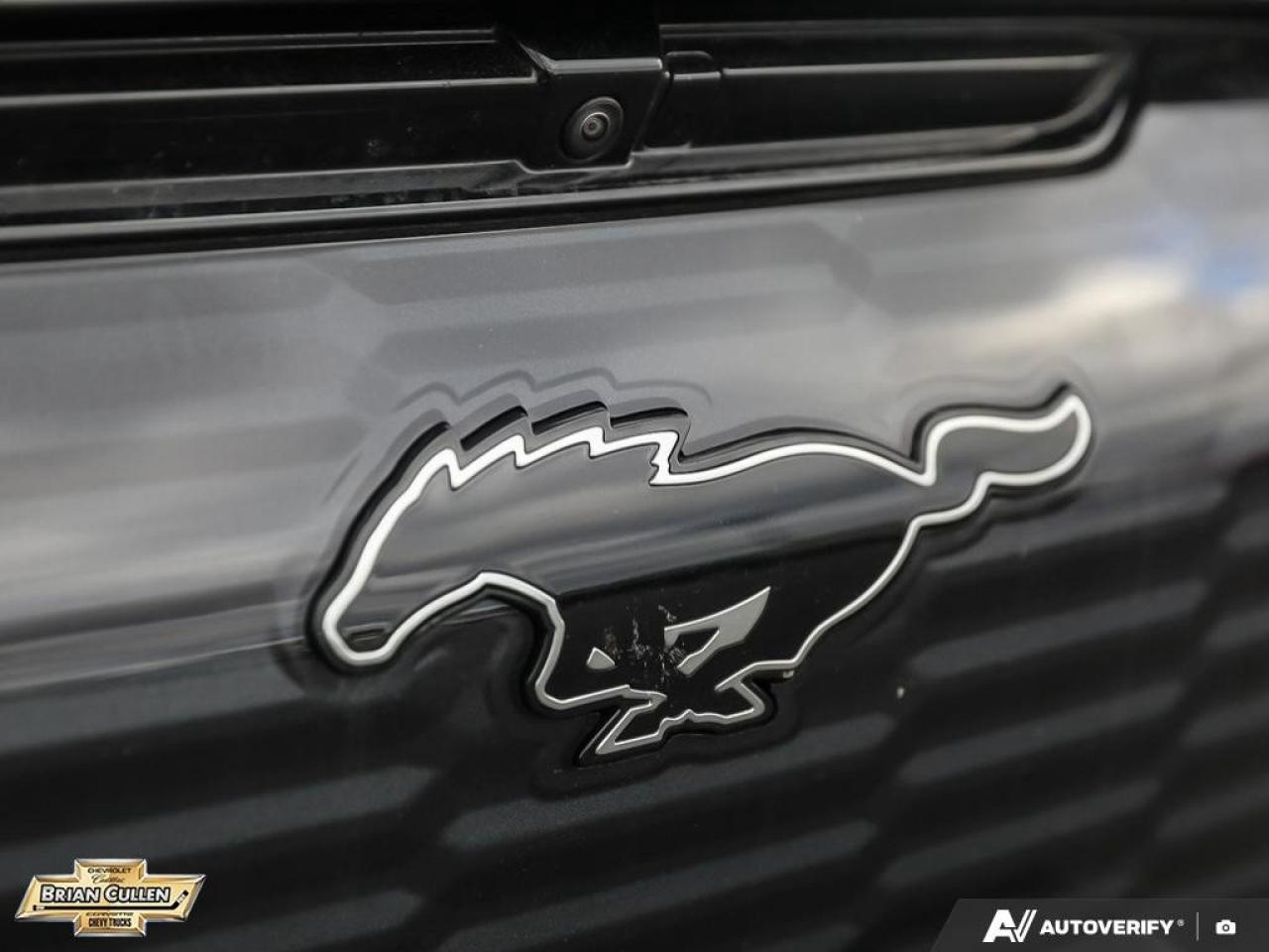 2022 Ford Mustang Mach-E GT Performance Edition GT Performance Edition AWD Photo