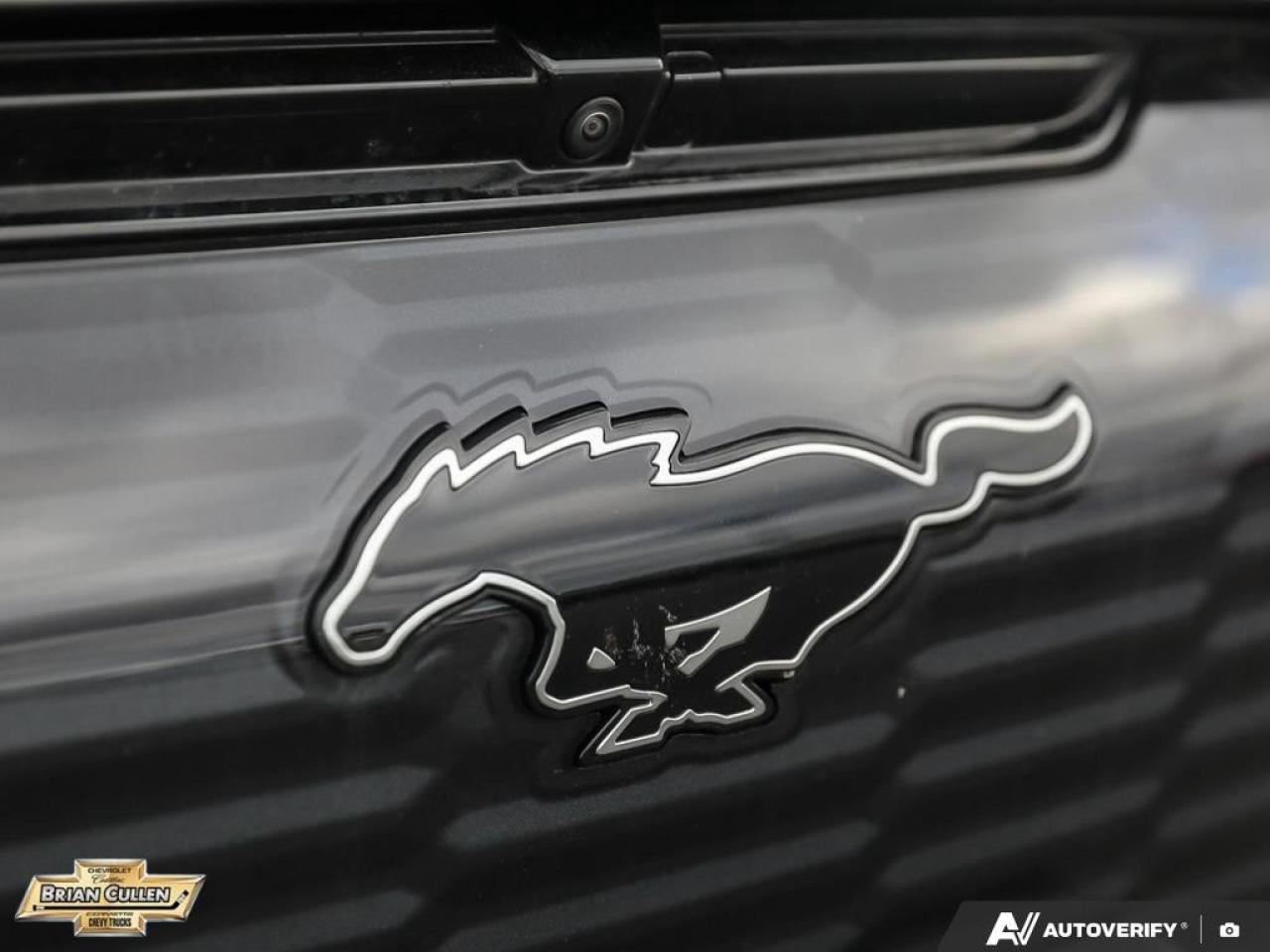 2022 Ford Mustang Mach-E GT Performance Edition GT Performance Edition AWD Photo