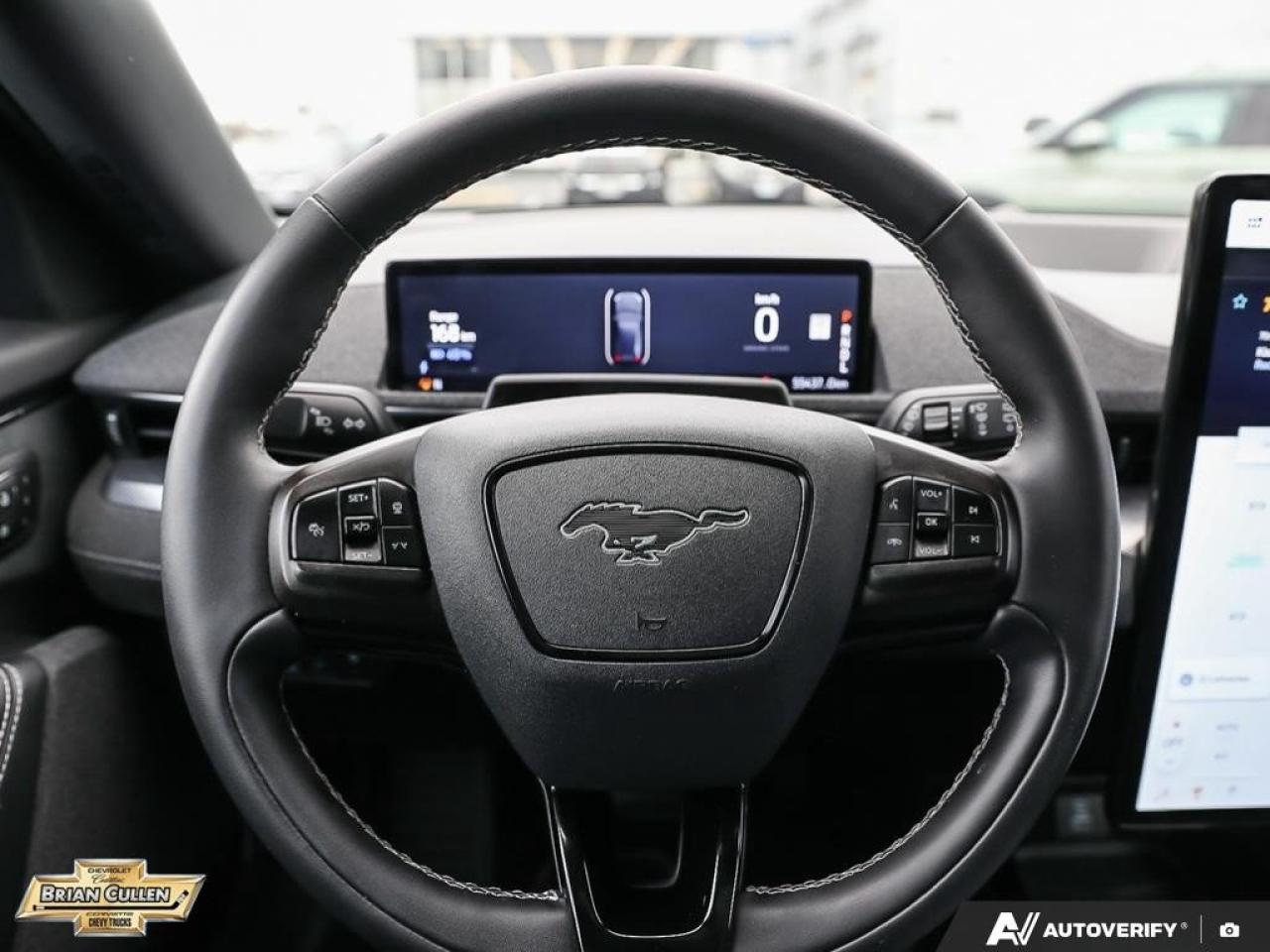 2022 Ford Mustang Mach-E GT Performance Edition GT Performance Edition AWD Photo