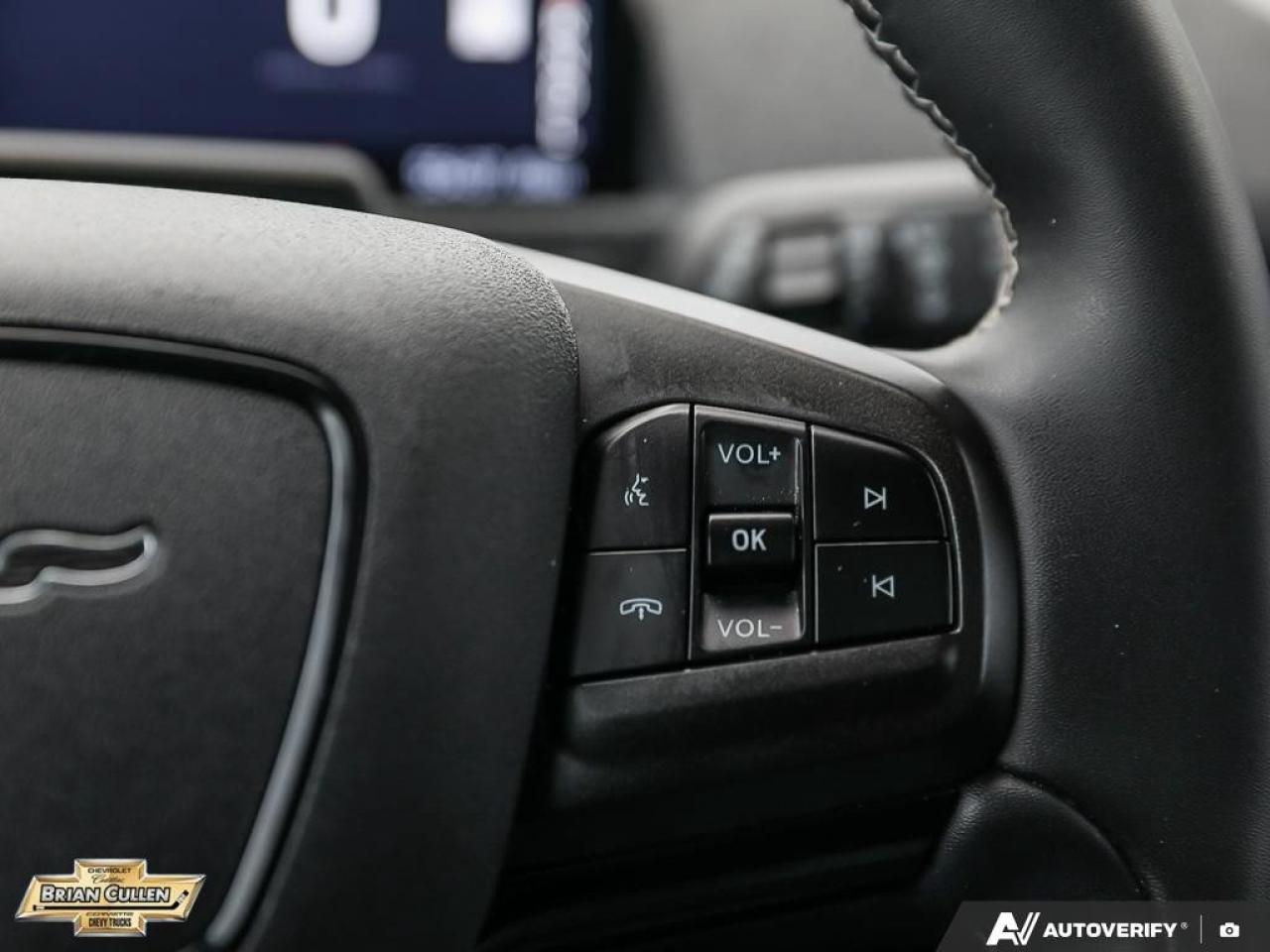 2022 Ford Mustang Mach-E GT Performance Edition GT Performance Edition AWD Photo