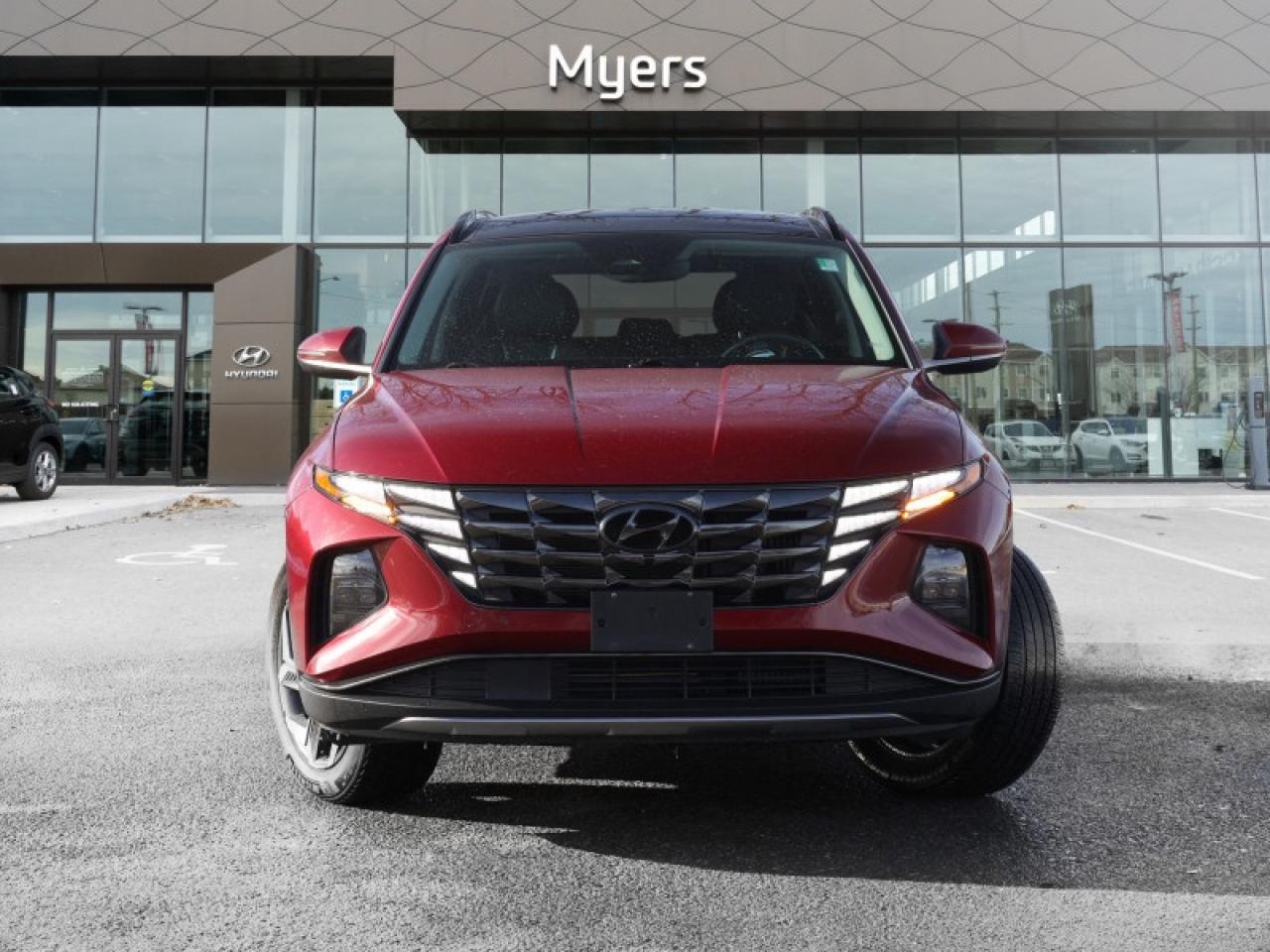 2022 Hyundai Tucson Hybrid Luxury  - $171 B/W Photo