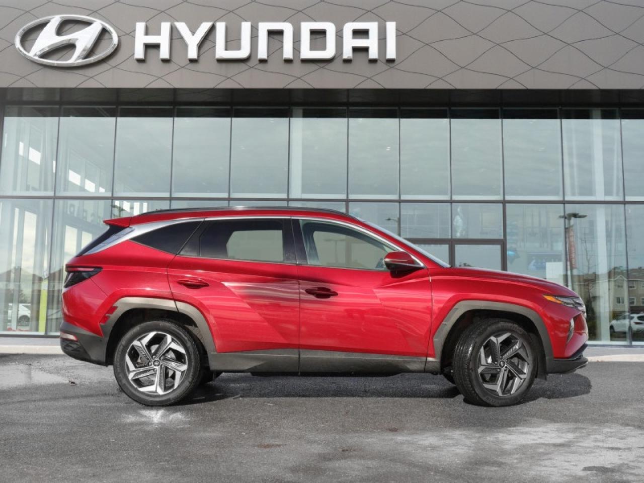 2022 Hyundai Tucson Hybrid Luxury  - $171 B/W Photo