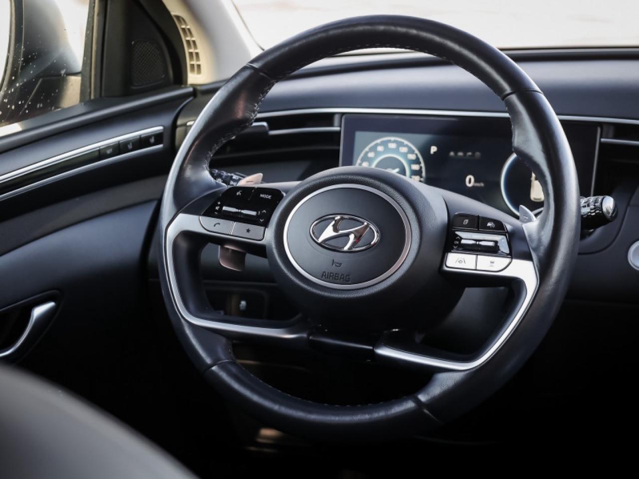 2022 Hyundai Tucson Hybrid Luxury  - $171 B/W Photo