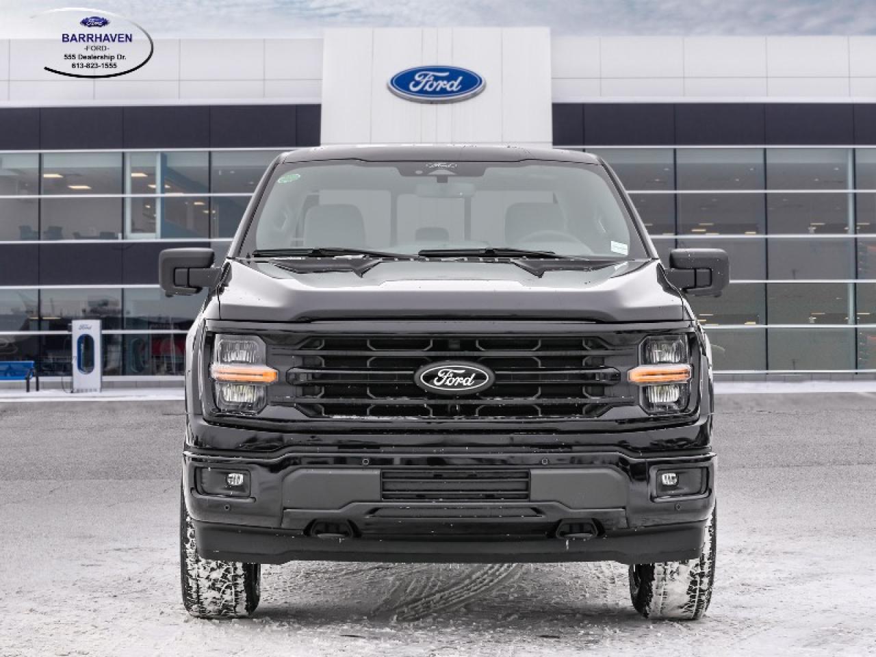 2025 Ford F-150 XLT Photo